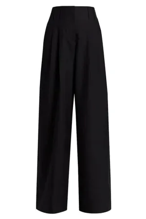 Extra Wide Leg Pleated Pants