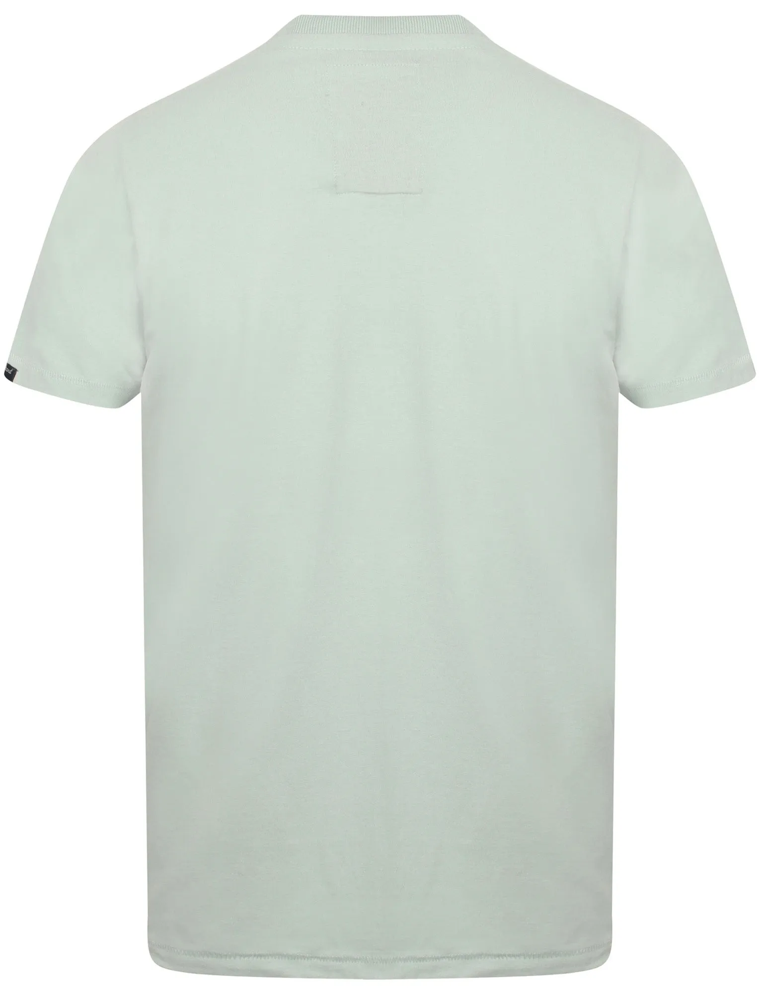 Montecarlo Crew Neck Cotton T-Shirt In Pale Mint - Tokyo Laundry