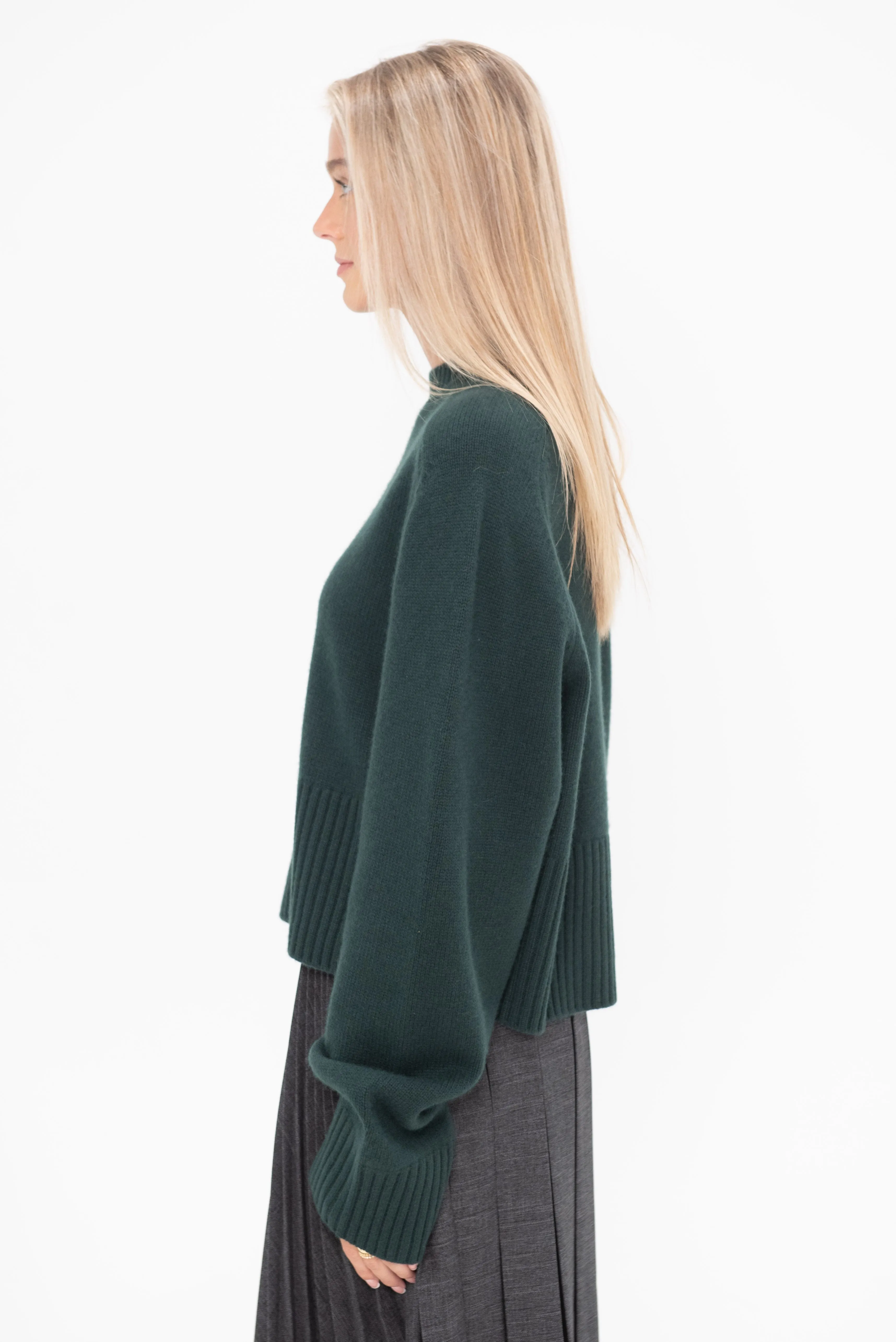 N°256 Judith, Forest